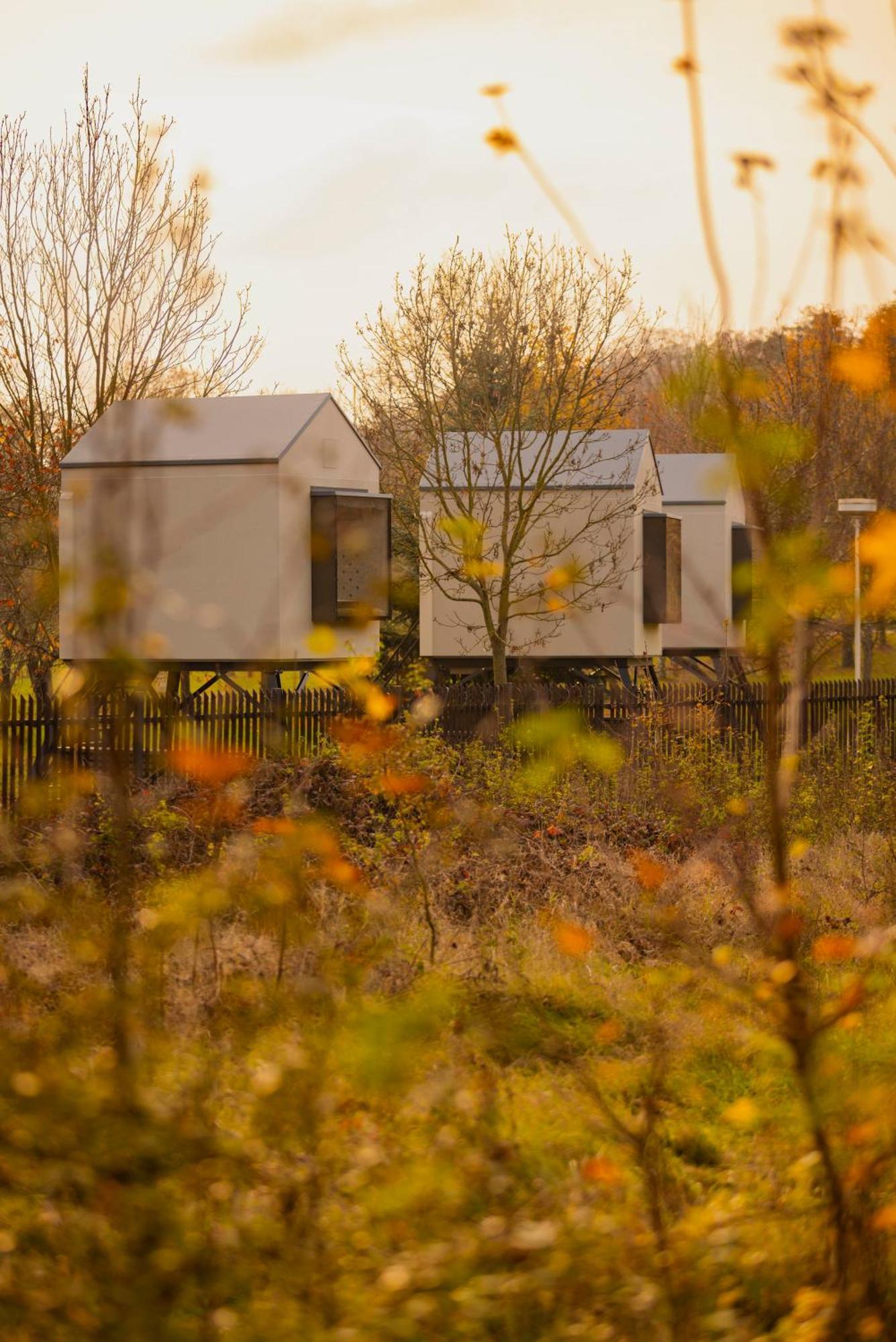Prague Camping Dzban Eksteriør billede